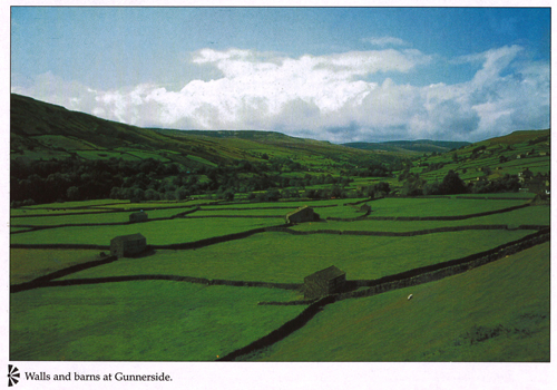 Walls and barns at Gunnerside postcards